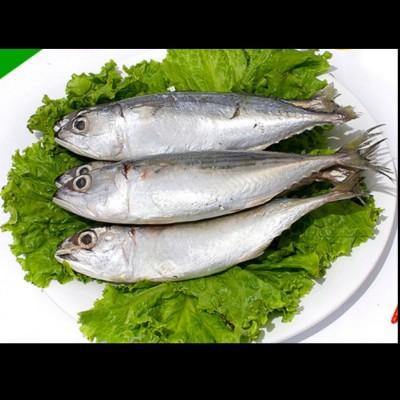 Ikan Kembung Banjar Frozen 400 gr