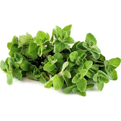 Oregano Organik 50gr