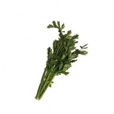 Daun Seledri Besar Organik 200gr