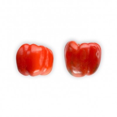 Paprika Merah Organik Satuan (1pc)
