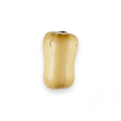 Labu Butternut Organik 1kg