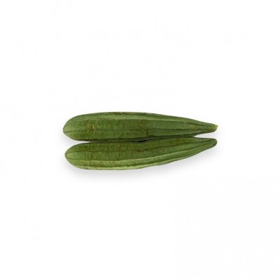 Oyong Organik 500gr