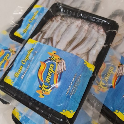 Ikan Shisamo (Capelin) 350gram