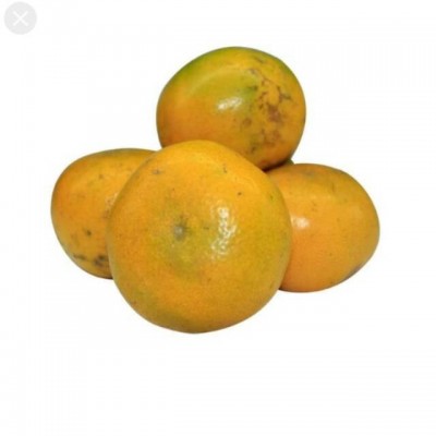Jeruk Medan 1kg